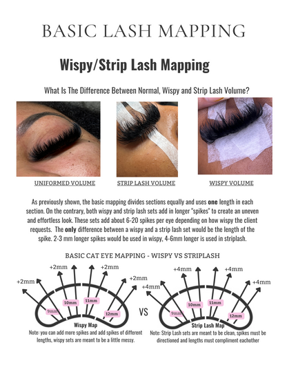 Beginner’s Guide to Lashing